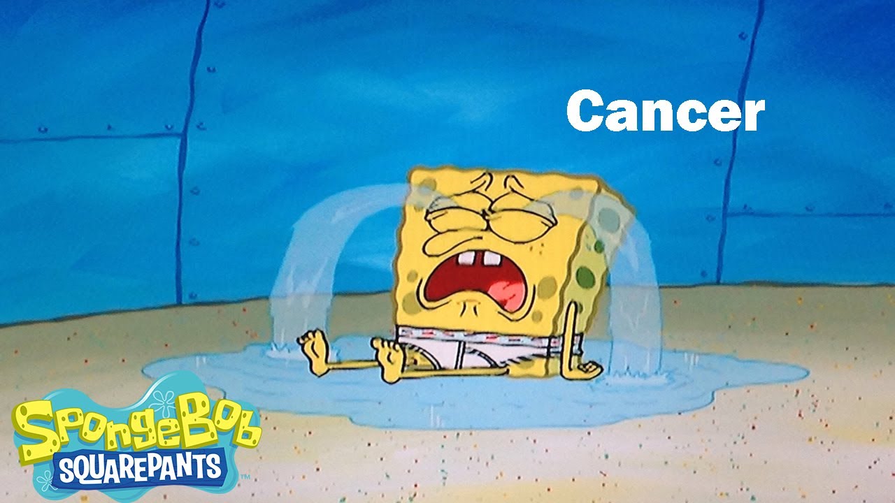SpongeBoB Characters as Zodiac Signs Part 2