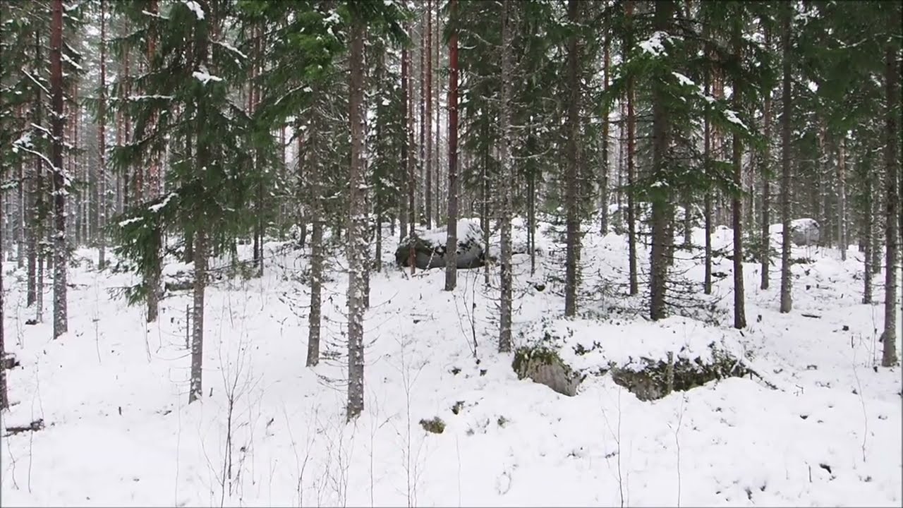 Luontaisten rakennepiirteiden mittarit, osa 2: Mittariston esittely tuoreen kankaan kohteella