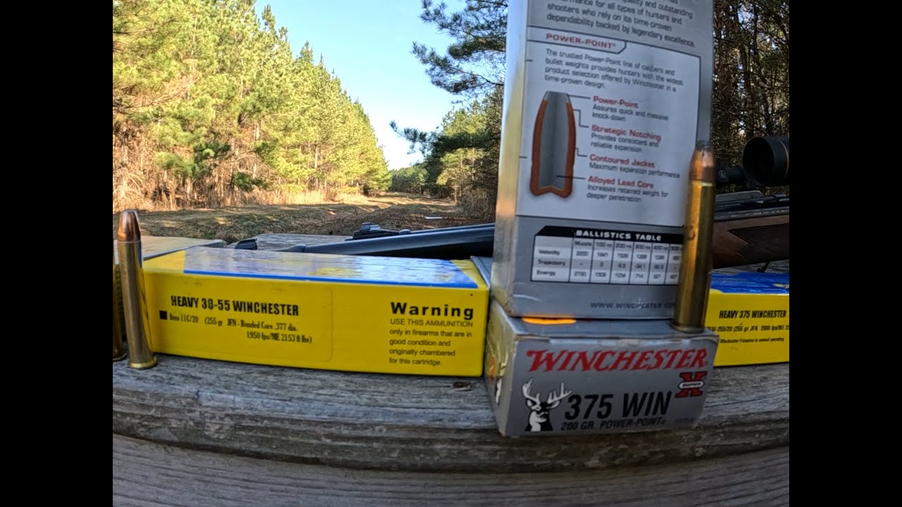375 WINCHESTER VS 38-55 WINCHESTER