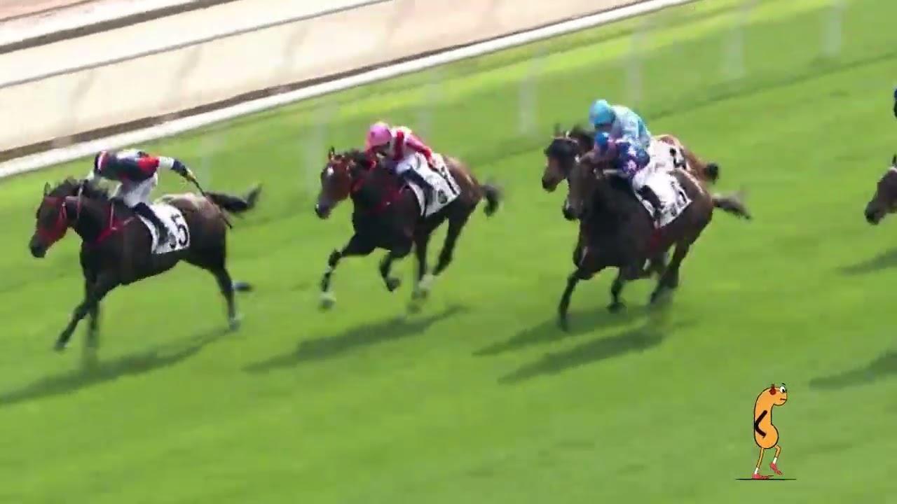 2025 12 27 R3 #數字天文 #梁家俊