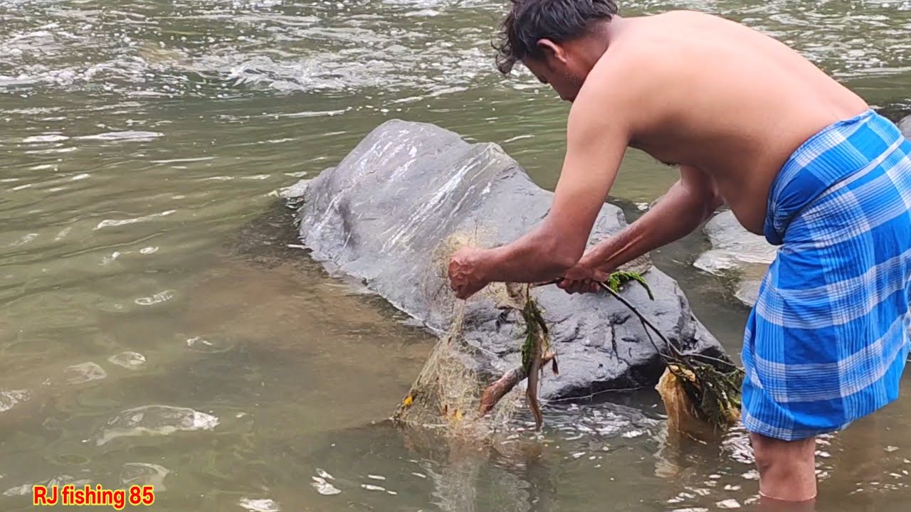 हमने नदी से पकड़ा देसी सिंघी मछली और मांगुर मछली We caught Desi Singhi Fish and Mangur Fish by RJ 85