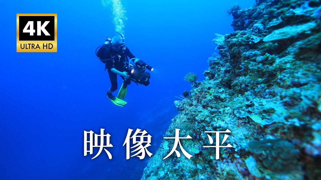 【Taiwan 4K+聲音修復】映像太平｜豐富原始的海洋｜難以到達的國境之南：南沙太平島 (公視我們的島 1134集 2021-12-06)