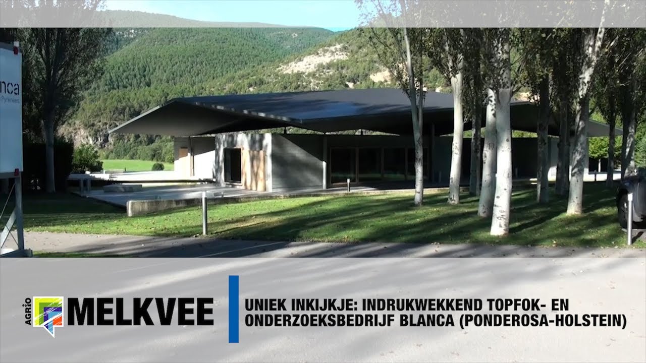 Uniek inkijkje: Indrukwekkend topfok- en onderzoeksbedrijf Blanca (Ponderosa-Holstein)