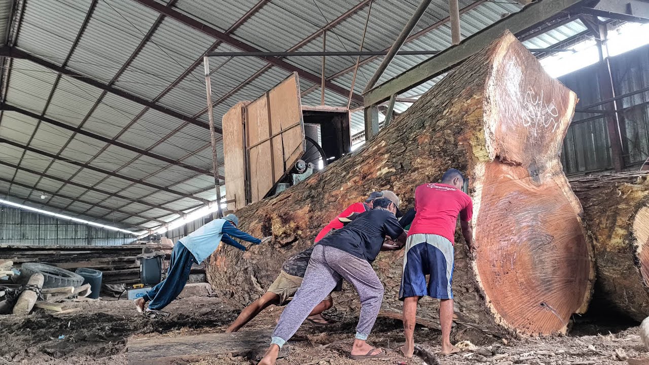 AWESOME!! Monster log battle with band saw I in big I sawmill