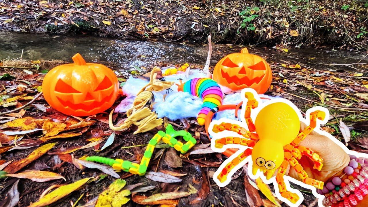 Spooky Woodland Stream | Learn Halloween Animal Names: Spider Vampire Bat Snake
