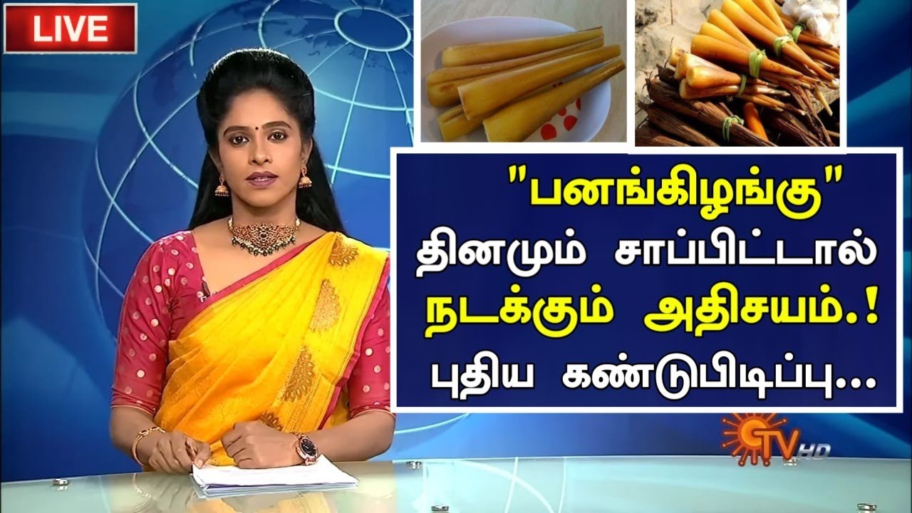 பனங்கிழங்கு மருத்துவ பயன்கள் | Pana Kilangu | Panam Kizhangu | Palm Sprouts Health Benefits Tamil