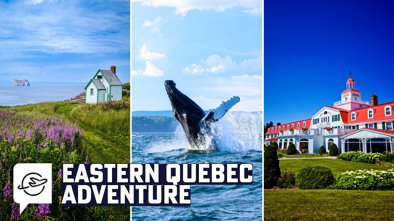 Quebec Maritime Road Trip: Percé to Tadoussac | Whale watching, Gannet Colony, and the St. Lawrence