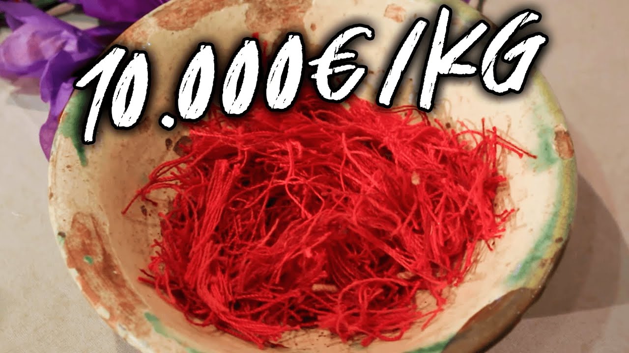 El famoso ORO ROJO de La Mancha | Museo del Azafr&aacute;n