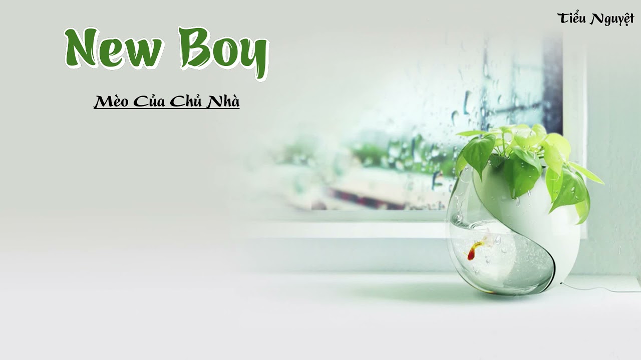 [Vietsub + Pinyin] ♪ New Boy - Mèo Của Chủ Nhà | New Boy - 房东的猫 ♪