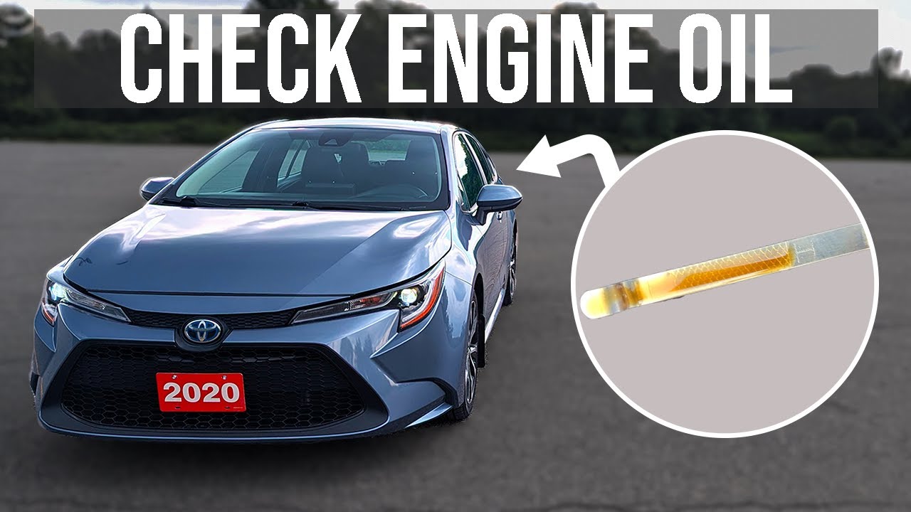 Как проверить уровень моторного масла в Toyota Corolla (2019-2026)