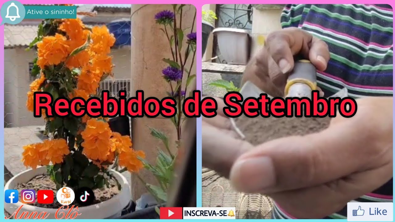 Recebidos de Setembro 