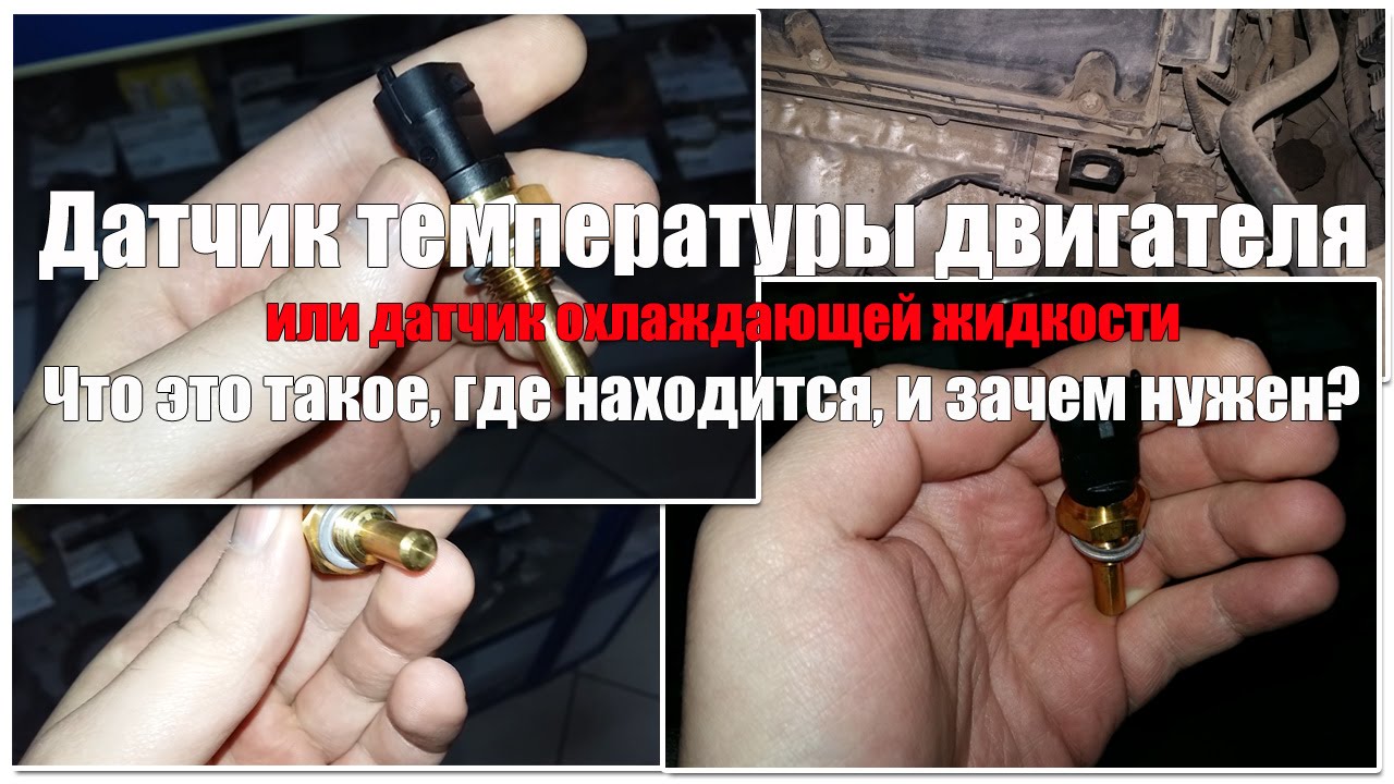 Датчик температуры двигателя - что это, как выглядит