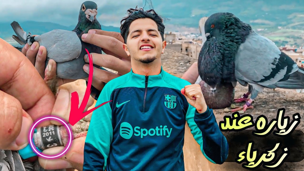 زياره عند حمام زكرياء ❤️ داكر حمام زاجل اكبر من 14 العام 🤯 توليعة سمائية في الحمام 🤩