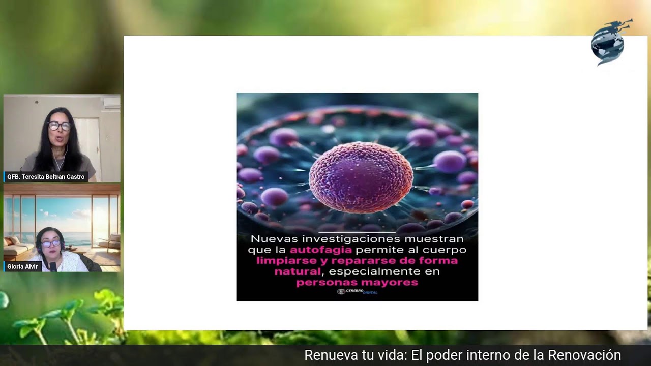Renueva tu vida:  El poder interno de la Renovación