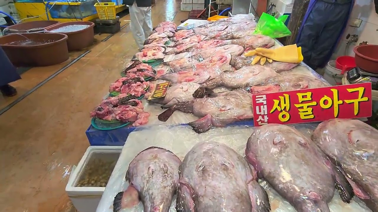 2024년 연말 일요일 노량진 수산 시장 돌아보기 busy Noryhanjin fish market in Korea 2024