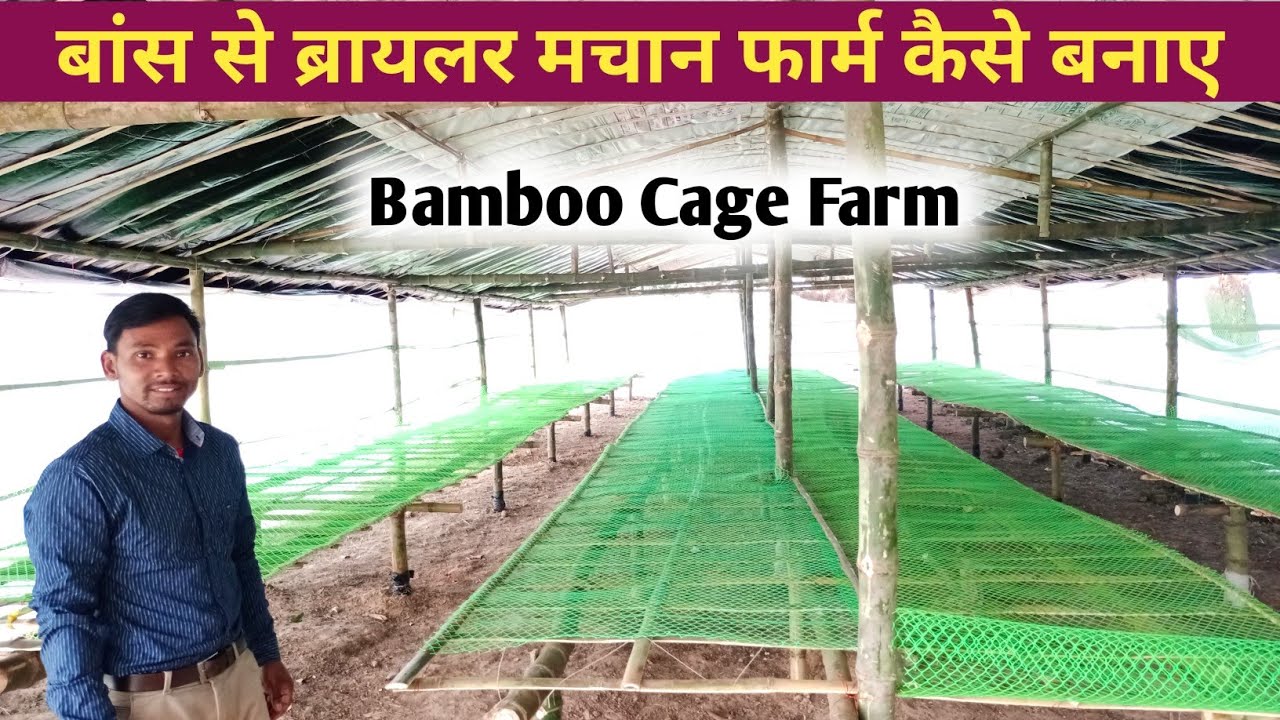 Bamboo Se Broiler Machan Farm Kayse Banaye