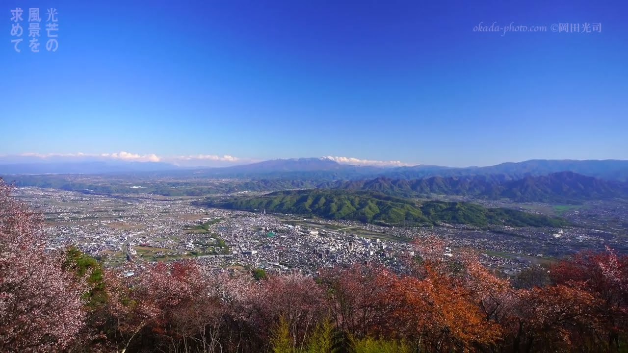 真田の山城 13 太郎山千本桜