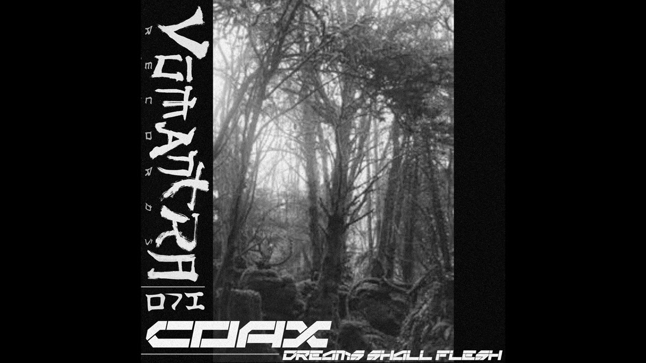COAX - The Light [VMNTR071]