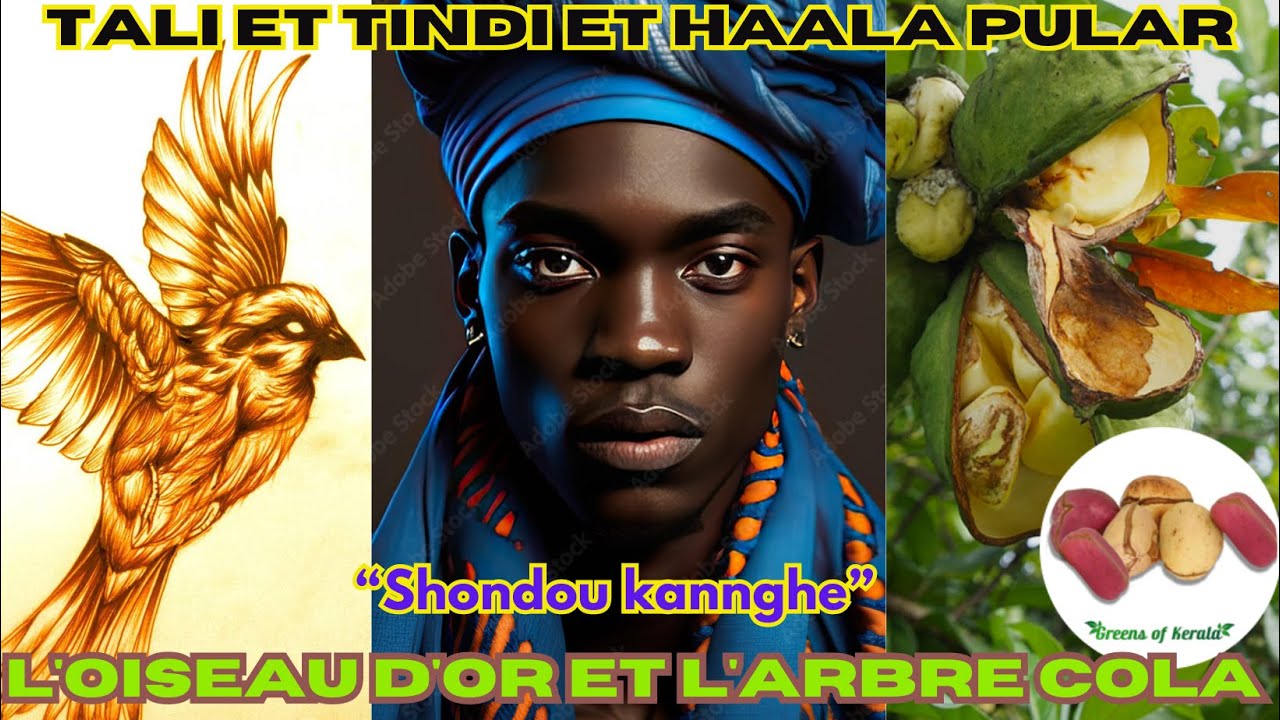 TAALI ET TINDI ET HALA PULAR. 