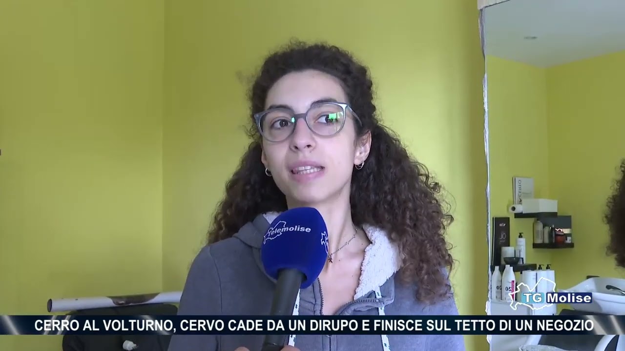 Cerro al Volturno, cervo cade da dirupo e finisce sul tetto di un negozio
