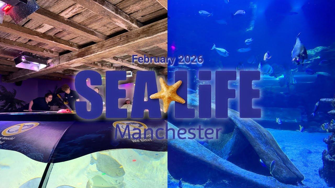 Sealife Manchester Vlog January 2026