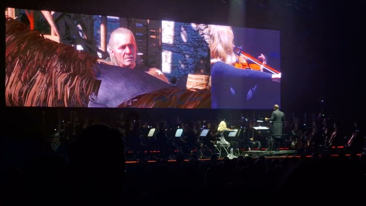 Gaming Concert - Wiedzmin 3: Dziki Gon (16.11.2024, Gdynia Arena)