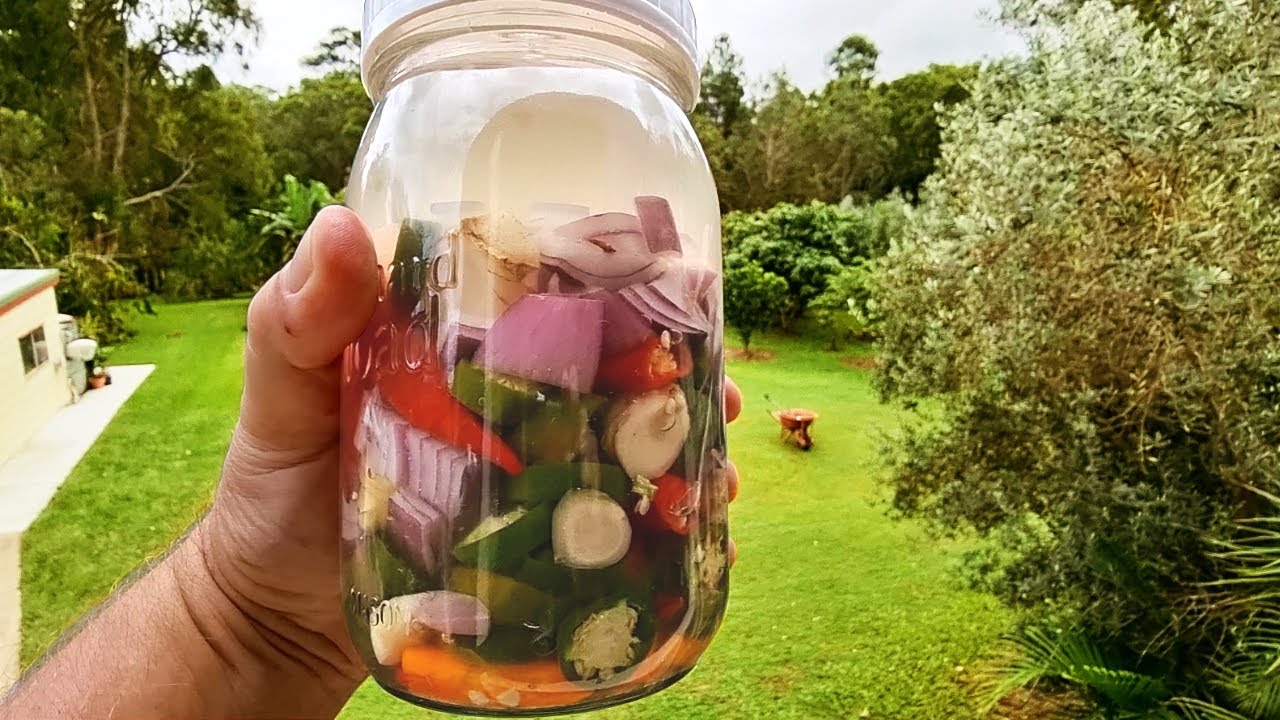 HEALTHY Chilli Hot Sauce Fermented for FIVE Months!
