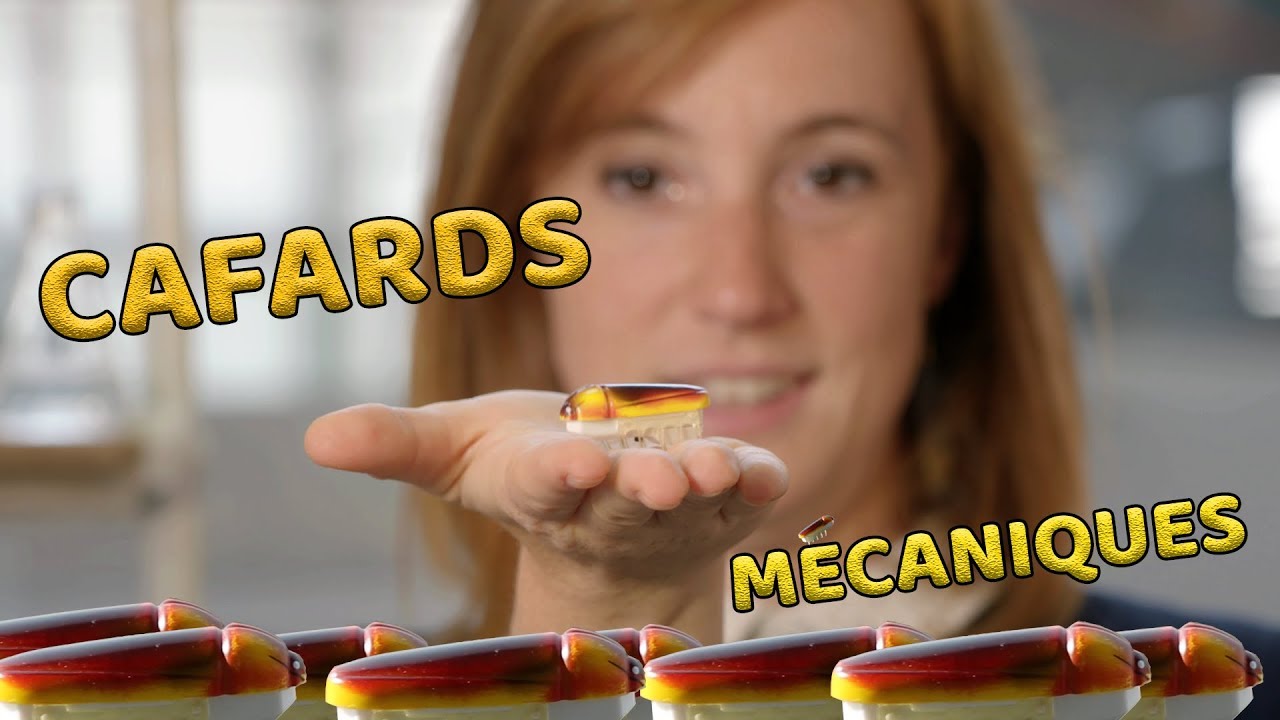 Des colonies de robots-cafards ! | ZdS#22