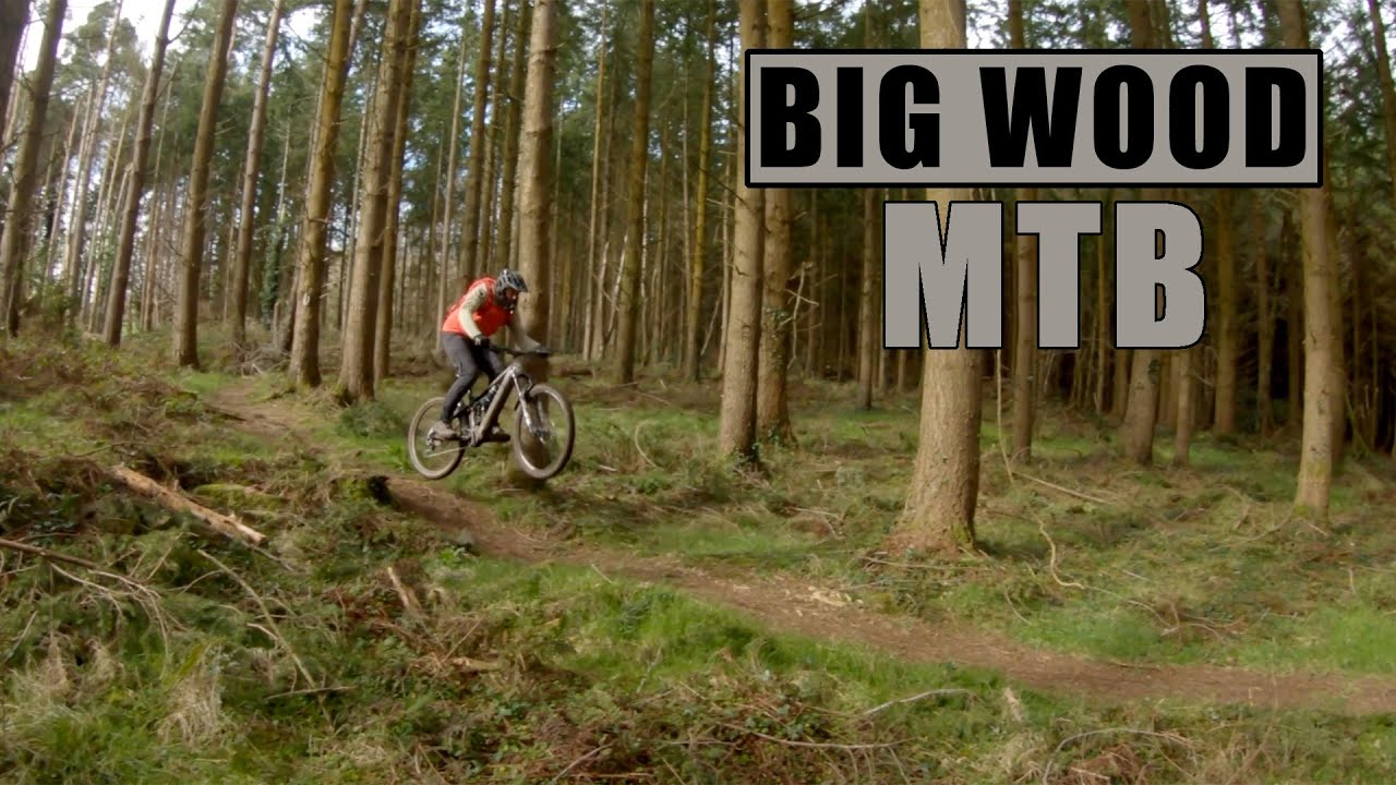 Big Wood with Krusty