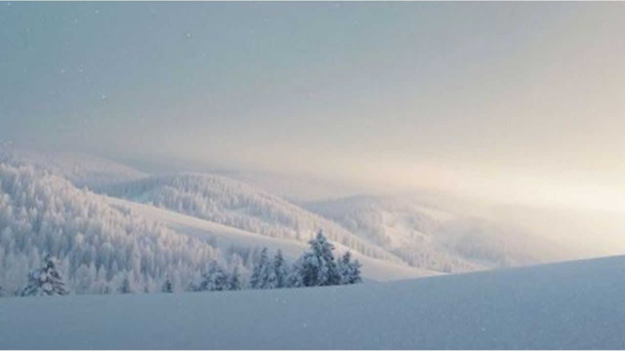 Quiet Light — Winter Stillness