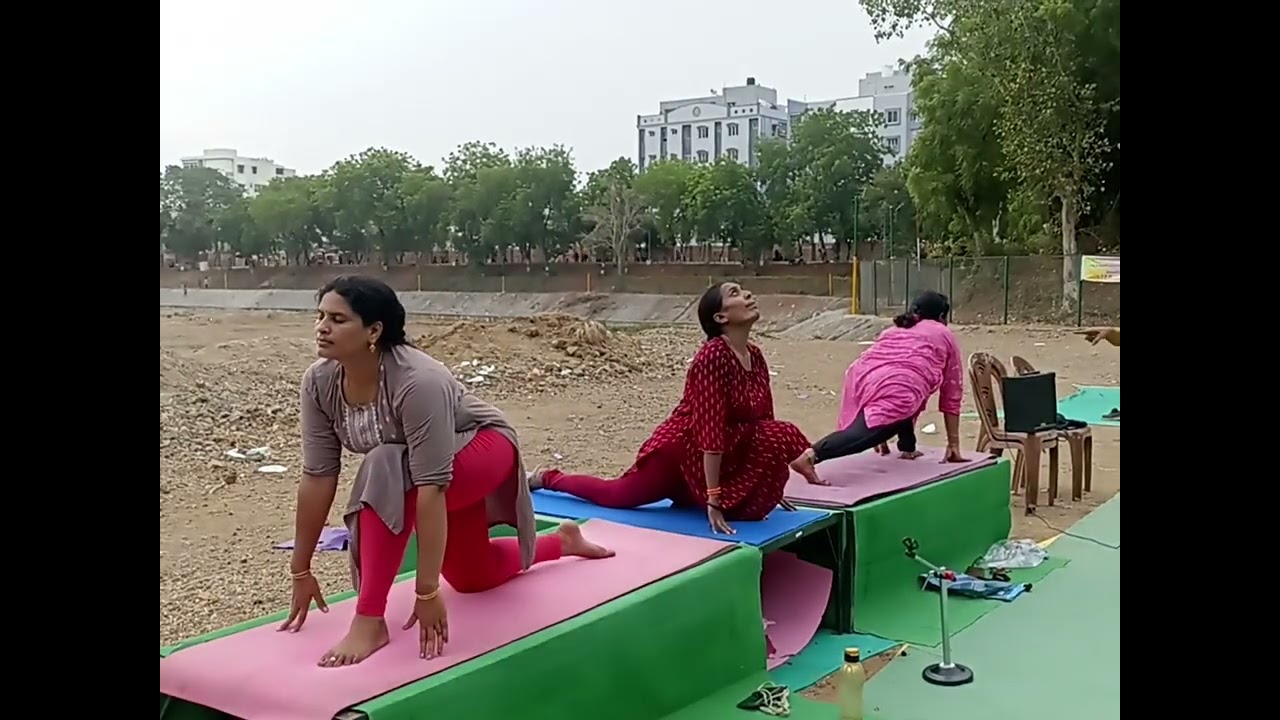 How to do surya namaskaram postures