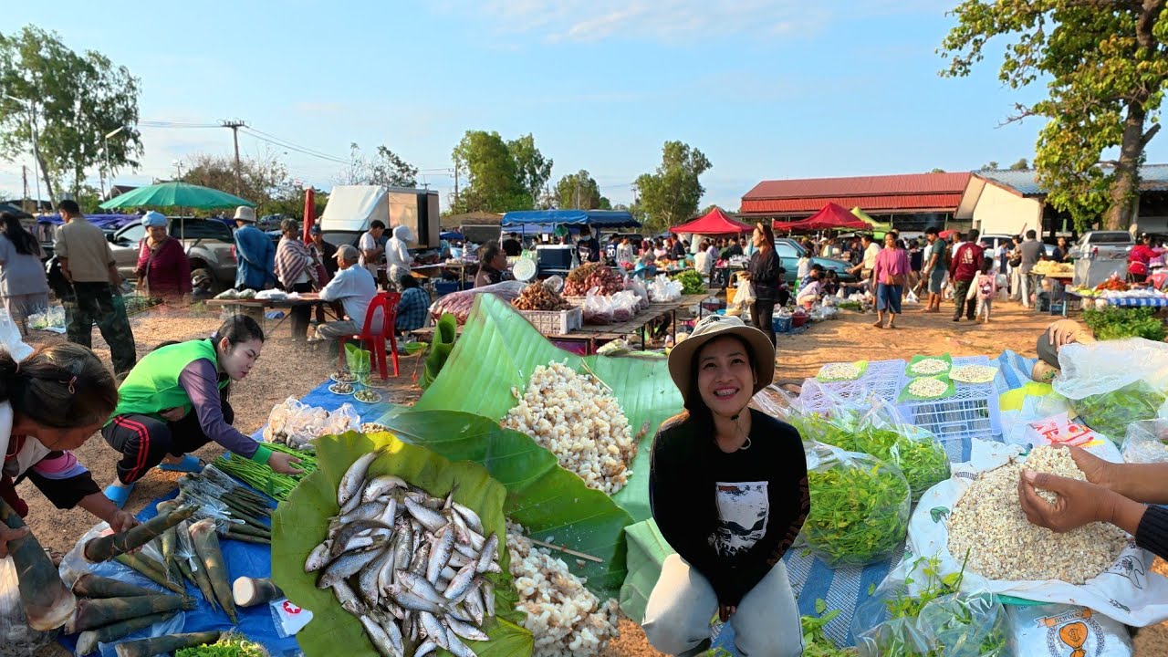 สุดยอด‼️ ไข่มดแดง อาหารธรรมชาติ ตลาดนัดวันศุกร์ โพธิ์ไทร อุบลราชธานี