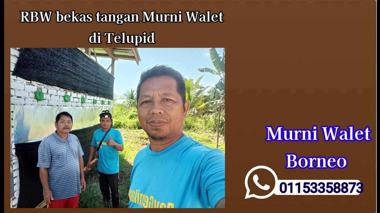 RBW bekas tangan Murni Walet di Telupid Sabah