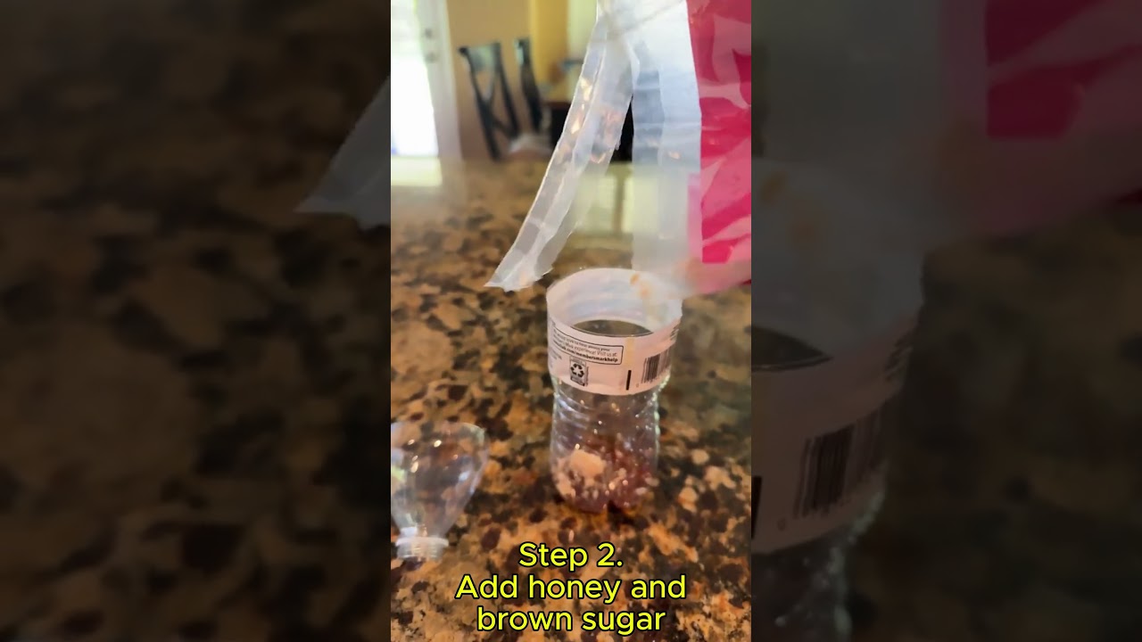 DIY Fly trap. Easy!