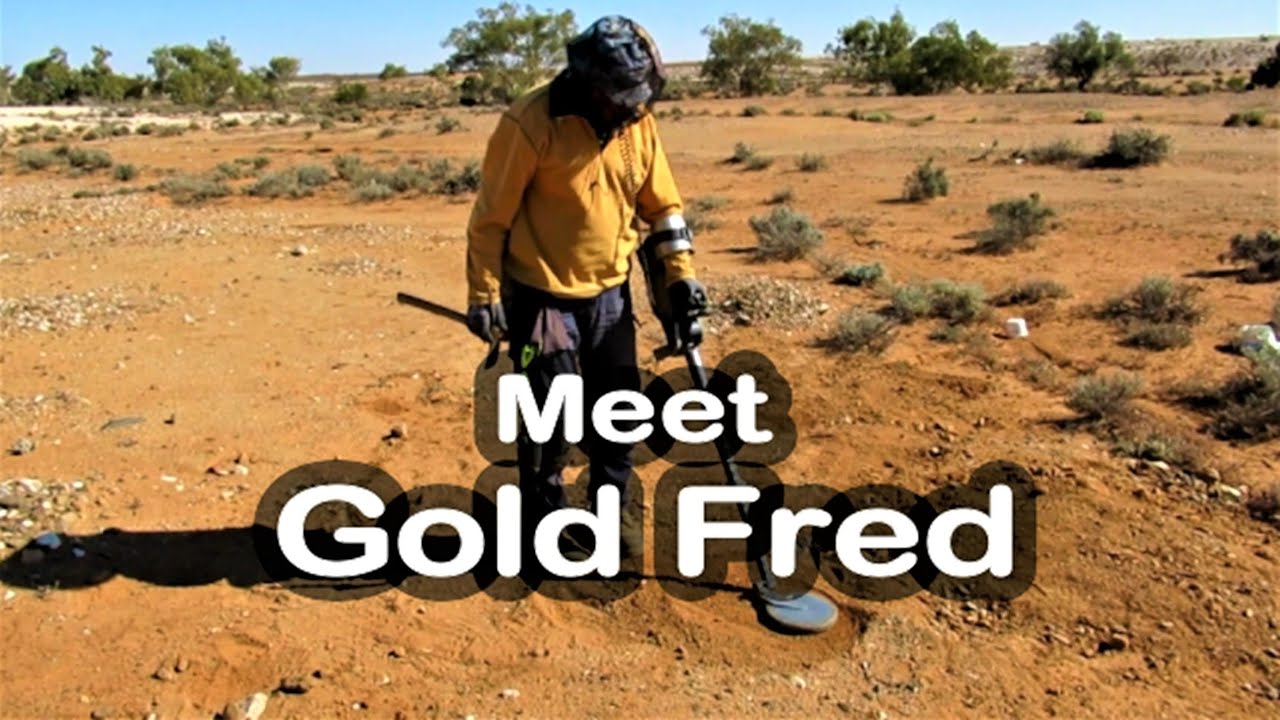 Gold Fred | Liz Kreate