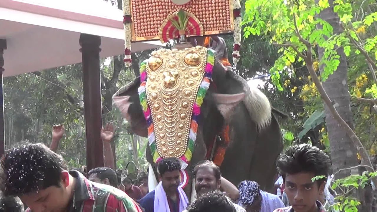 Cheeram Kulangara Pooram
