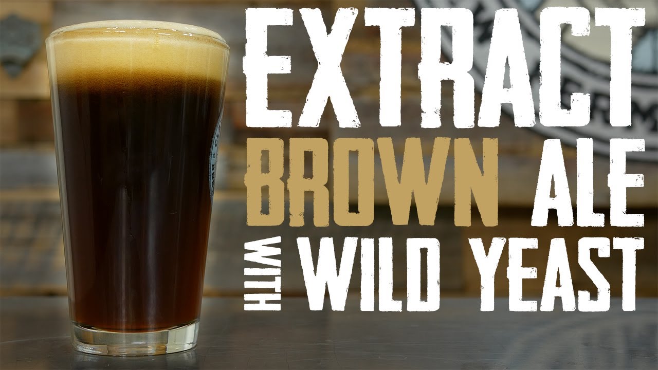 Extract Brown Ale With Wild Yeast: Homebrewing With A Log