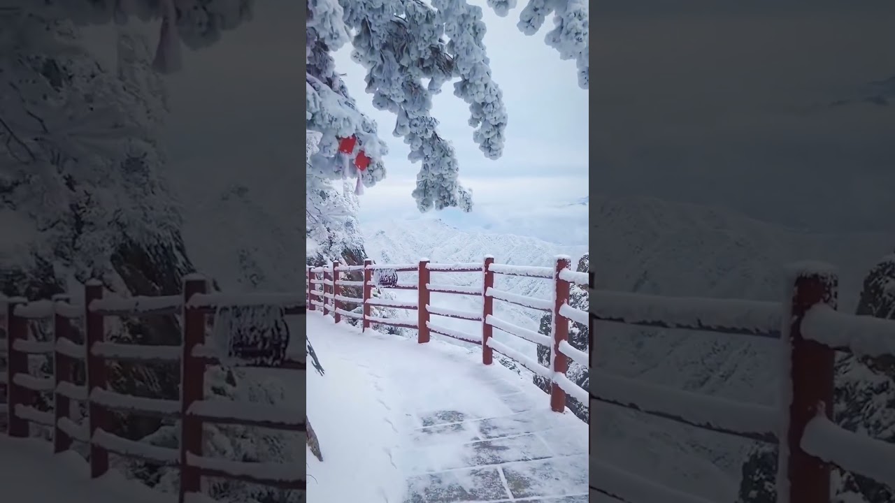 Relax with the beautiful winter atmosphere ❄️ Soft winter music soothes the nervous system #snow