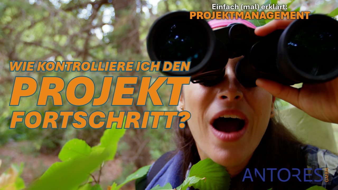 Monitoring & Fortschrittskontrolle in der Projektdurchführung - Projektmanagement einfach erklärt.