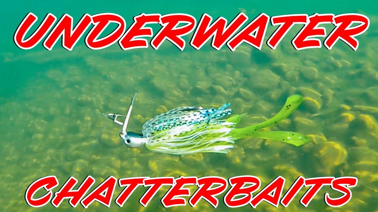 Underwater Chatterbait Footage! 19 Trailers Compared In Crystal Clear Water!!