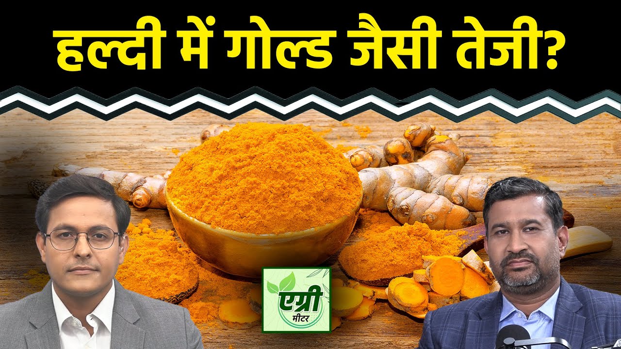 Commodity Market : NCDEX पर हल्दी में खरीदारी करें या बिकवाली? Trading | Agri Commodity