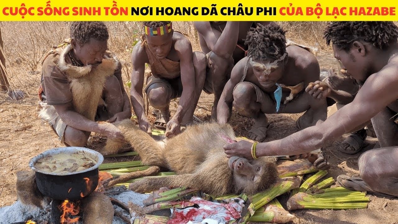 Cuộc Sống Sinh Tồn Nơi Hoang D&atilde; Ch&acirc;u Phi Của Bộ Lạc Nguy&ecirc;n Thủy Hazabe Full M&ugrave;a