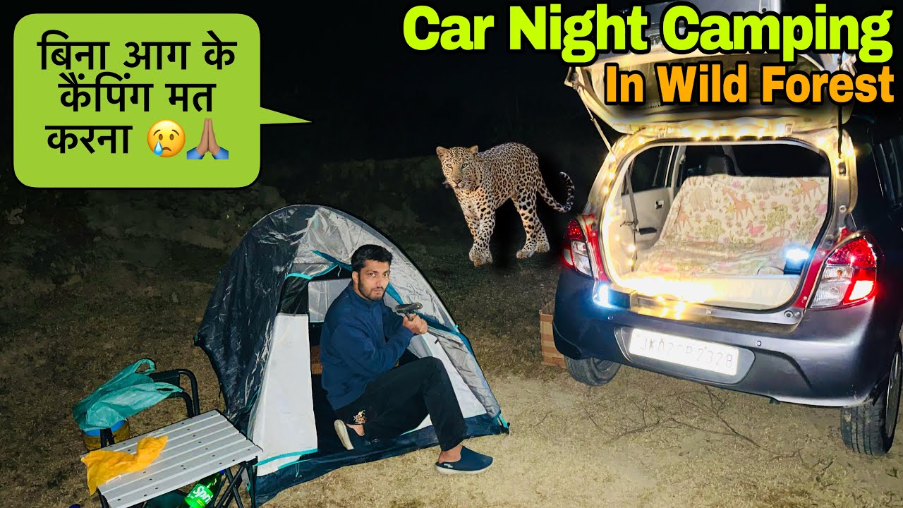 आग न लगने से जंगली जानवर करीब आ गये Group Car Night Camping in Forest | Night Camping Vlogs