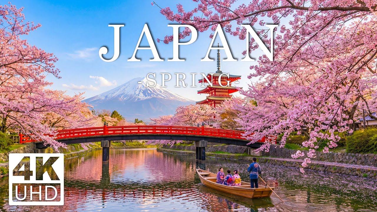 Japan 4K - A Stunning Visual Tour of Cherry Blossom Season and More - Calming Music