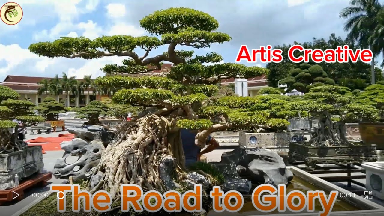 The Glory of the Pathfinder | Influence and Creativity in Bonsai