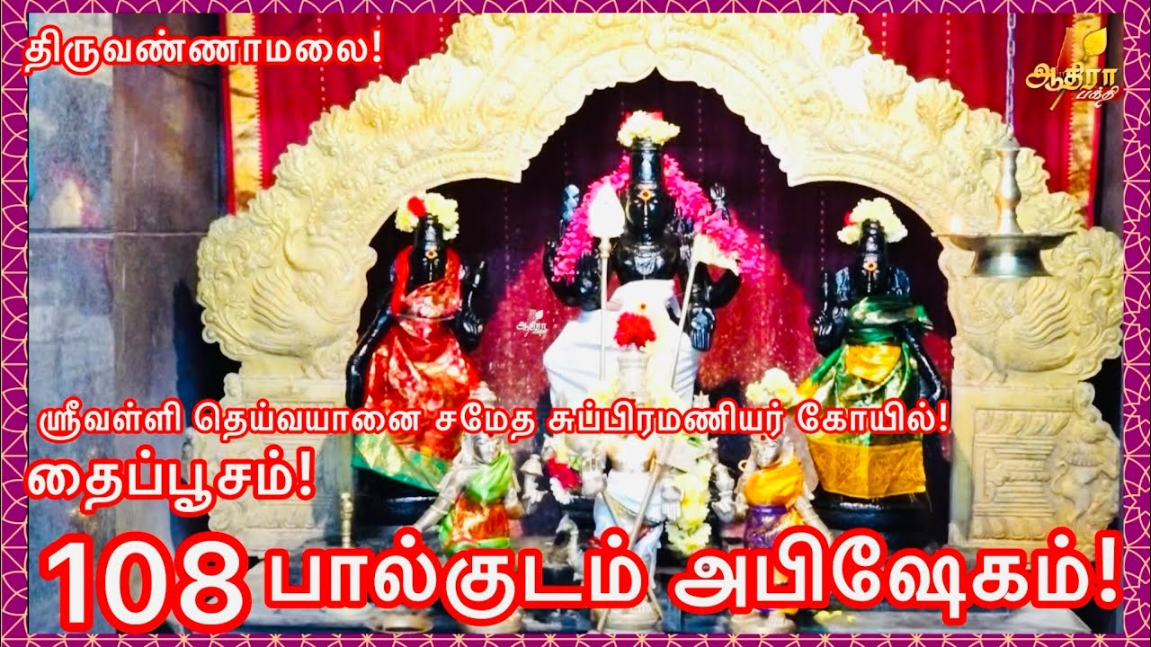 திருவண்ணாமலை  ஸ்ரீவள்ளி தெய்வயானை சமேத சுப்பிரமணியர் கோயில் தைப்பூசம்!  108 பால்குடம் அபிஷேகம்!
