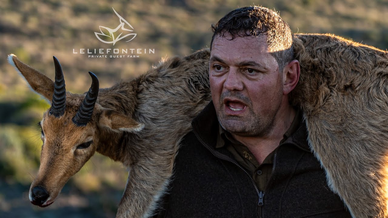 Sneeuberg Jagte in die Karoo