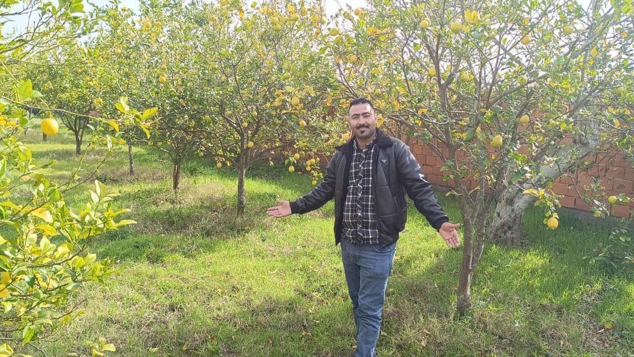 🌳فرمة🌴🌿 للبيع نواحي القنيطرة بظبط ولاد بورحمة مساحة 1500 متر مربع تمن للبيع 36 مليون قابل للتفاوض