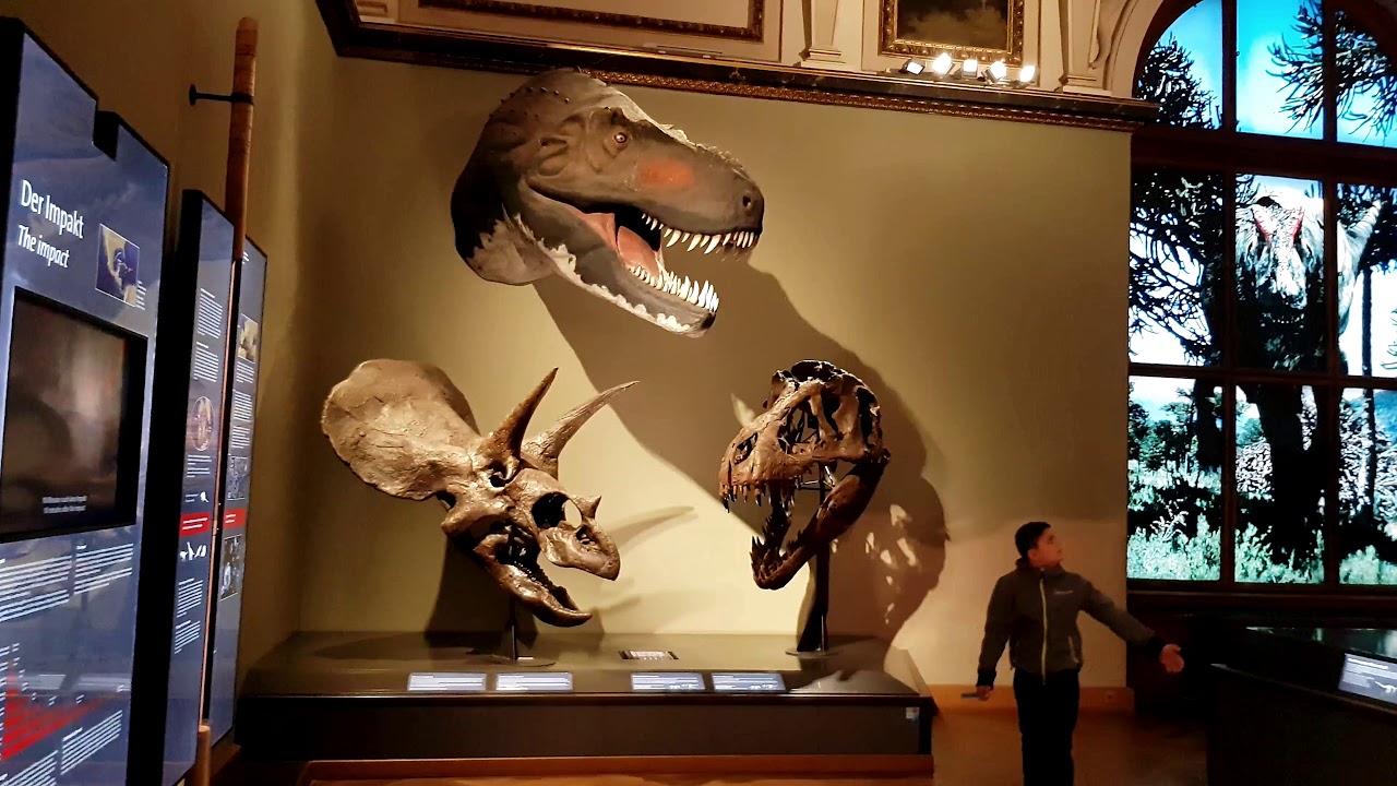 tourist eye: Natural History Museum Vienna