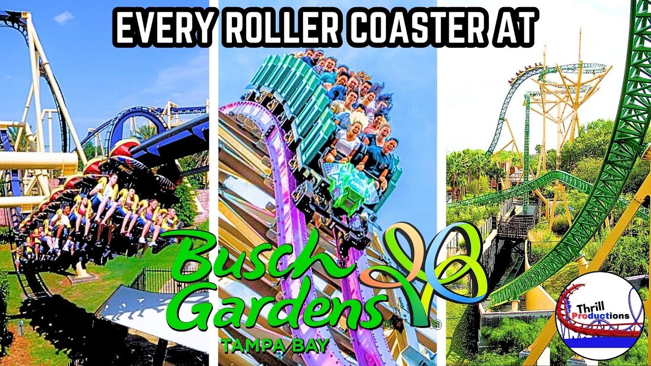 Every Roller Coaster at Busch Gardens Tampa! (2024 Edition)